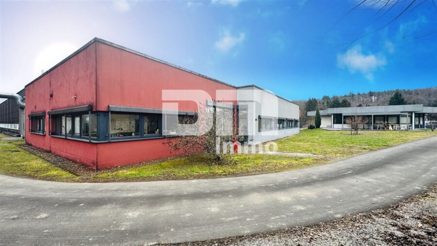 Gewerbeensemble Produktionshallen + Bürogebäude und umfangreiche Freiflächen - Bürogebäude Rückansicht/ Zufahrt Rückseite Halle 1